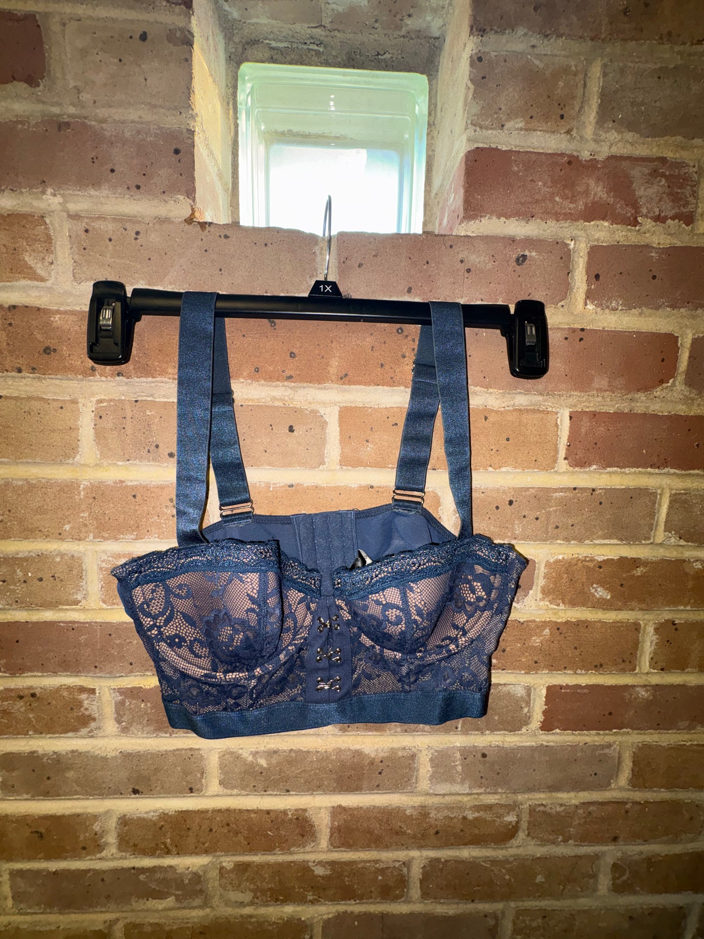 Valentine’s Day Blue Bustier 36C