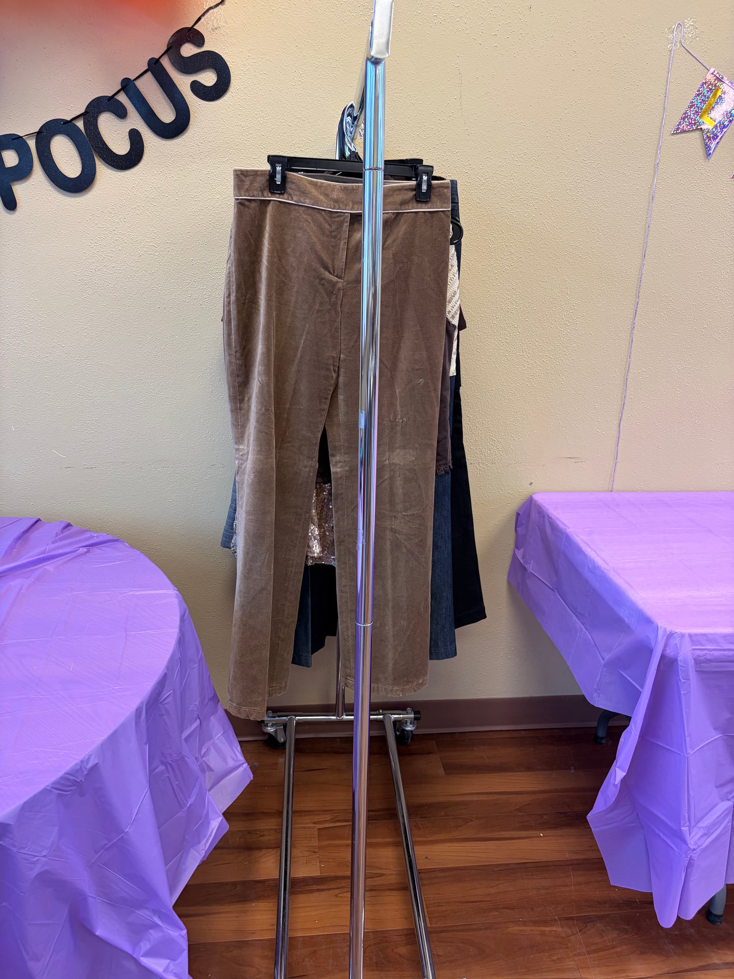 Ann Taylor brown suede pants- size 6