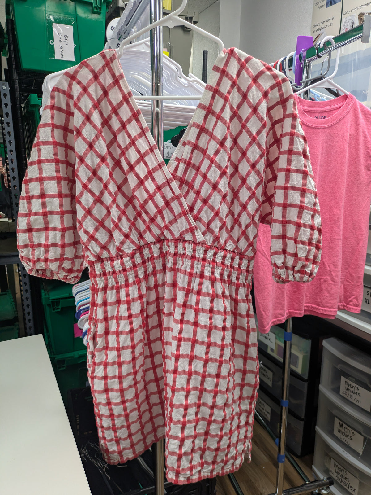 Mark Hoffman Gingham swim cover