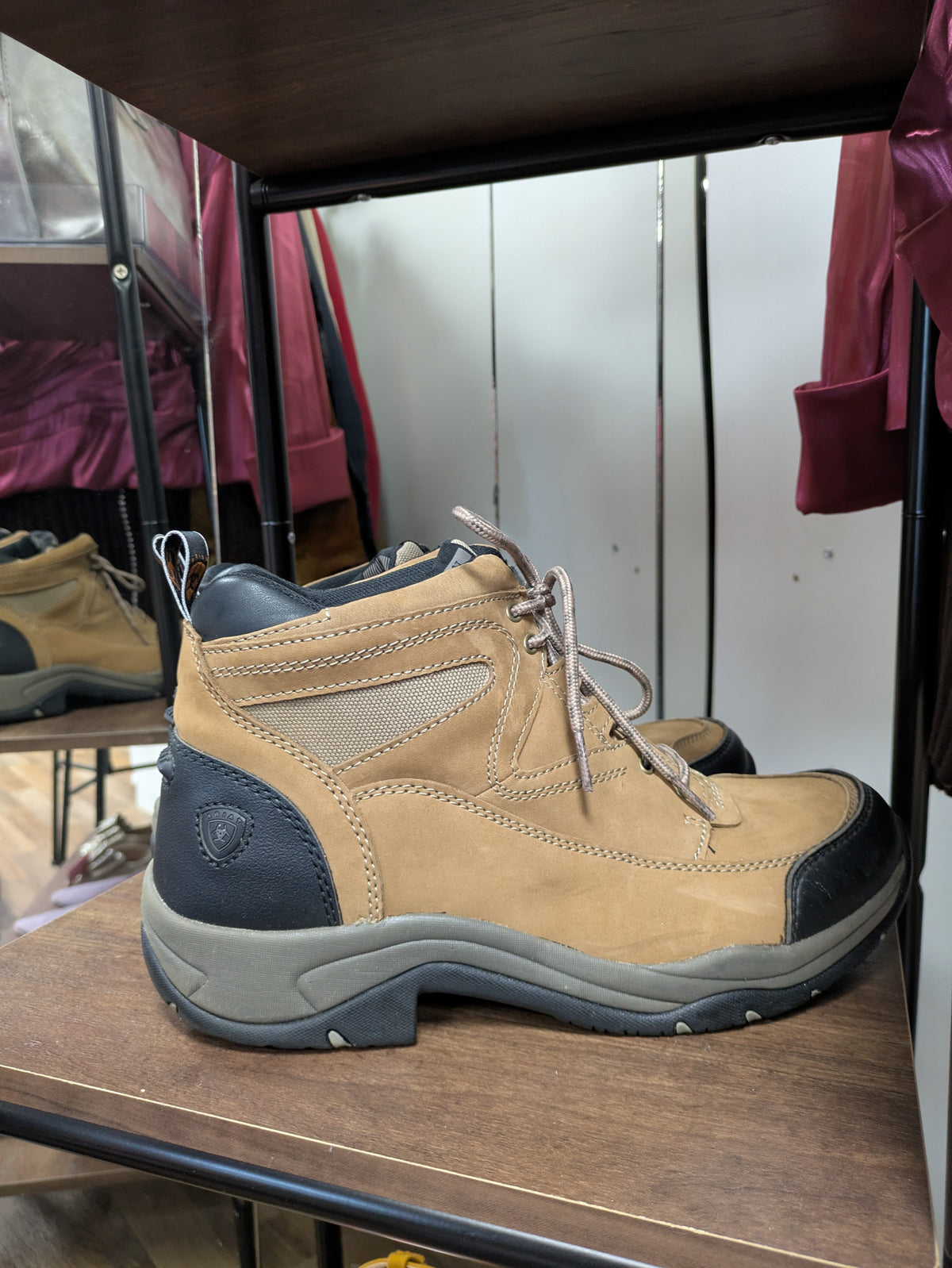 Ariat Women's Terrain Hiking Boot